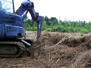3 lines of biodiversity defence