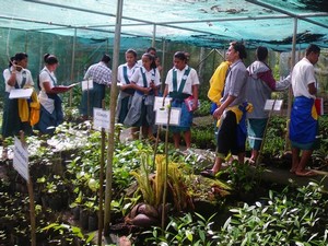 Restoring island biodiversity
