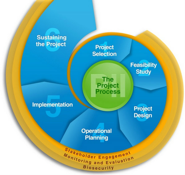 The Project Process Overview(copy)