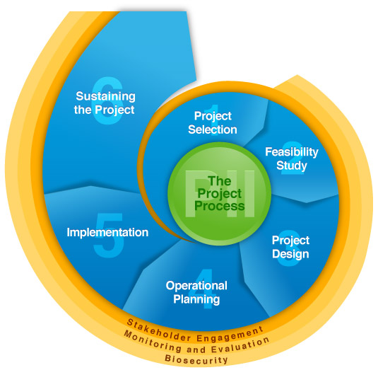 The Eradication Process